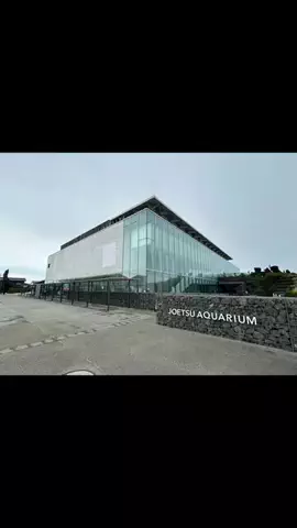 おじさんのTikTok投稿
