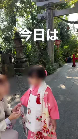りぶ｜くらしとかぞくを整えるのTikTok投稿