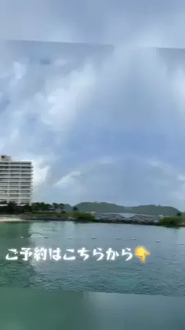 おじさんのTikTok投稿