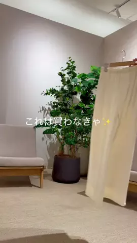 yoshimi2316のTikTok投稿
