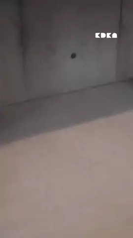 家電彼女のTikTok投稿