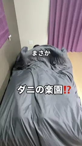 こまち｜掃除屋が教える1分楽ピカ術✨のTikTok投稿