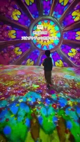 kokoのTikTok投稿