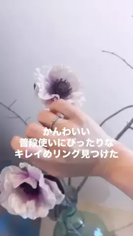 心の温度上げませんか？のTikTok投稿