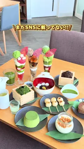 ぎゃらぴかのTikTok投稿