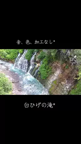 フォロバ*☆*のTikTok投稿