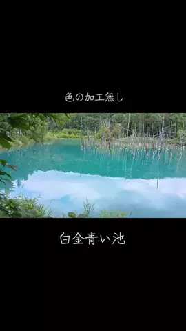 フォロバ*☆*のTikTok投稿