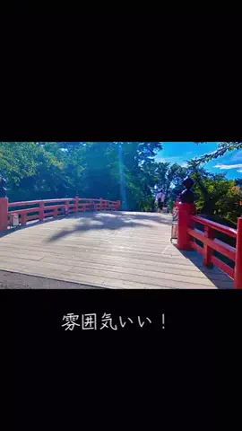 フォロバ*☆*のTikTok投稿