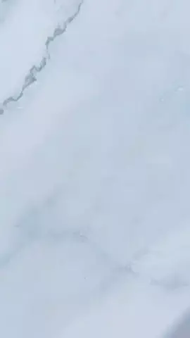 鈴蘭のTikTok投稿