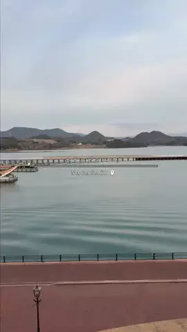 maaii_hotelのTikTok投稿
