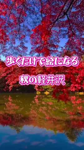 茨城と栃木の県境に住んでいますのTikTok投稿