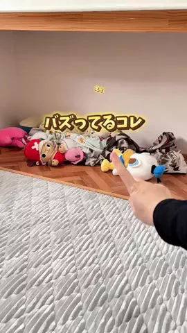 ぽん◎ズボラママでもできる整う暮らしのTikTok投稿