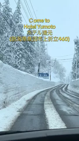 rosanaselectshopのTikTok投稿