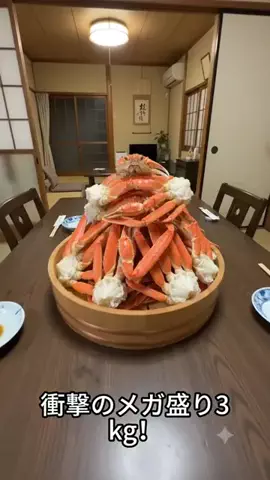 z69k74のTikTok投稿
