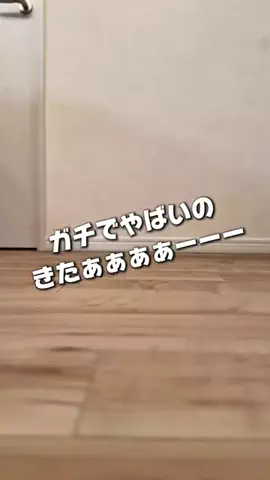 SHIRI ⌇大人のダイエットのTikTok投稿