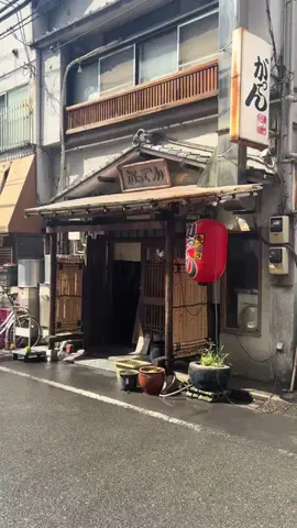 Haneka UtaのTikTok投稿