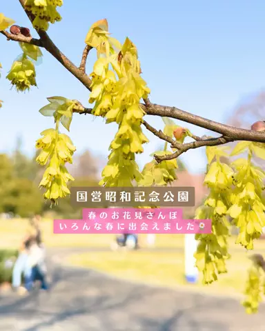みぽ🌞心震える旅の記録のTikTok投稿