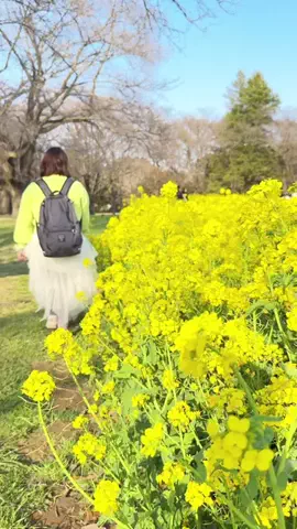 みぽ🌞心震える旅の記録のTikTok投稿