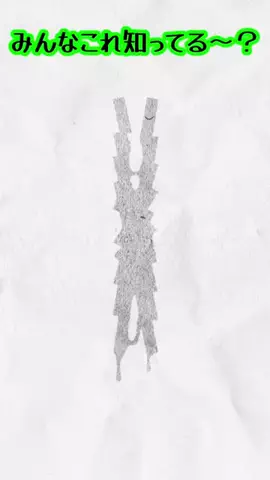 みこち🏵🌺のTikTok投稿