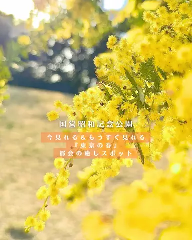 みぽ🌞心震える旅の記録のTikTok投稿