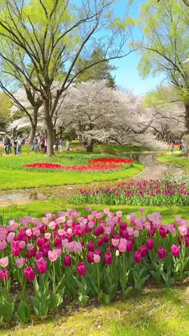 みぽ🌞心震える旅の記録のTikTok投稿