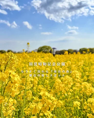 みぽ🌞心震える旅の記録のTikTok投稿