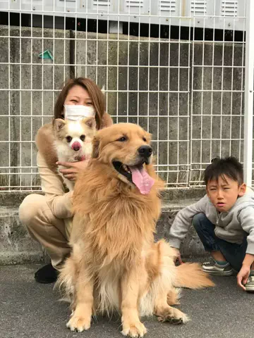 💚姐さん💚のTikTok投稿