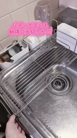 ワンだふるらいふ🐾飼い主妻のTikTok投稿