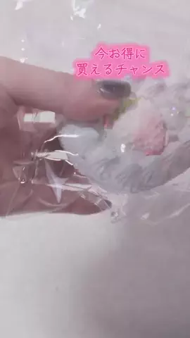 ワンだふるらいふ🐾飼い主妻のTikTok投稿