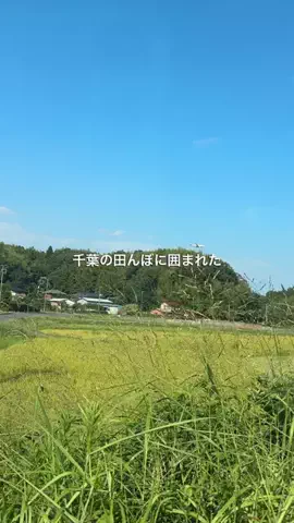 のぞみ|千葉グルメのTikTok投稿