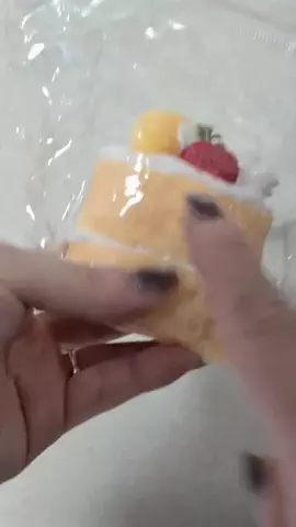ワンだふるらいふ🐾飼い主妻のTikTok投稿