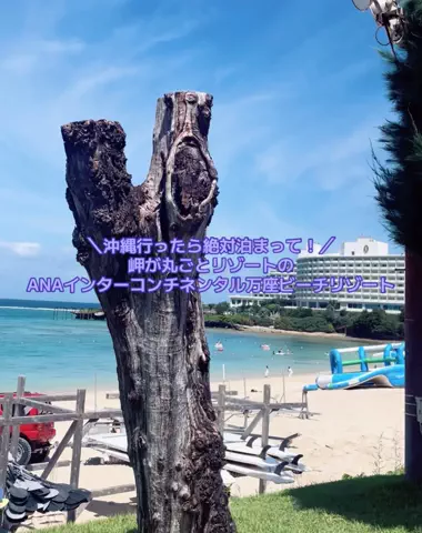 出張や旅行で泊まって良かったホテル紹介🐶KALU🐶のTikTok投稿