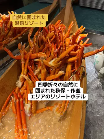 おとけしきのTikTok投稿