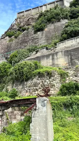 おとけしきのTikTok投稿
