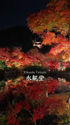まっちゃ🍵📱のTikTok PR投稿：夜の永観堂が美しすぎた🥹‪🍁✨️ 📍Eikando Temple | Kyoto…