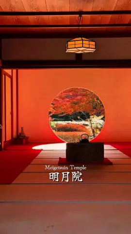 まっちゃ🍵📱のTikTok PR投稿：今が見頃！鎌倉の美しい紅葉スポット🍁⁡ 📍Meigetsu-in Te…