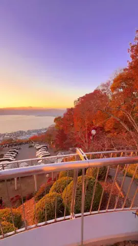 まっちゃ🍵📱のTikTok PR投稿：「君の名は。」の聖地は紅葉も綺麗だった😭🍁 The Holy La…