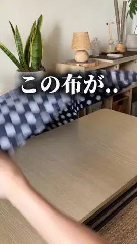 まこ | プチプラってバレない暮らしのTikTok投稿