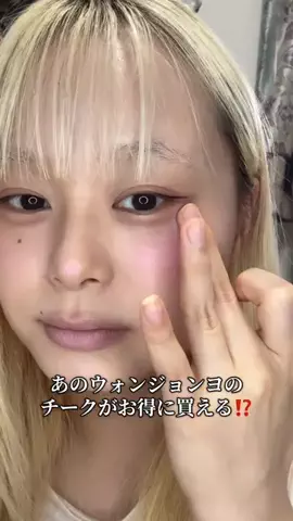 チビちゃんのTikTok投稿