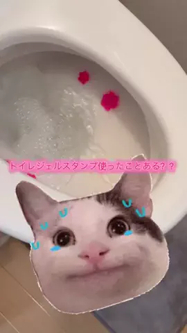 華、今日も買う。🎀のTikTok投稿