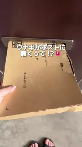 さら ¦ 100kg主婦のTikTok投稿