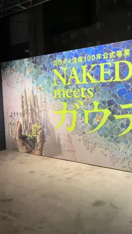 無類のアート好きのTikTok投稿