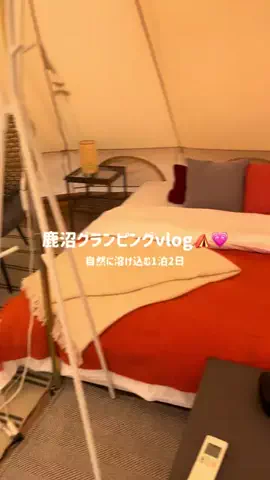 ここのTikTok投稿