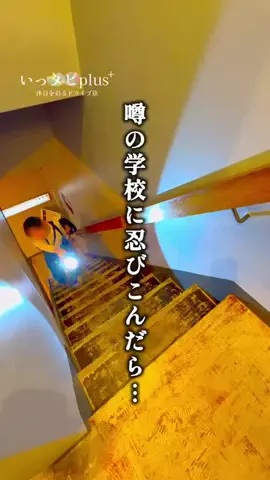 いっタビplus ︴年120日ドライブする夫婦のTikTok投稿