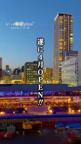 いっタビplus ︴年120日ドライブする夫婦のTikTok投稿