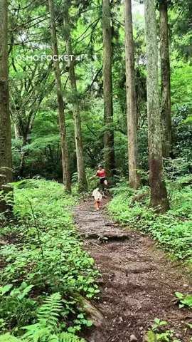 陣在ほのかのTikTok投稿