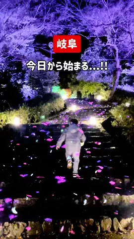 tommyが巡るおでかけのTikTok投稿