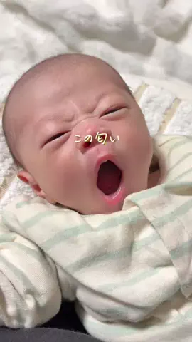 しな￤2児ママのゆとりある暮らしのTikTok投稿