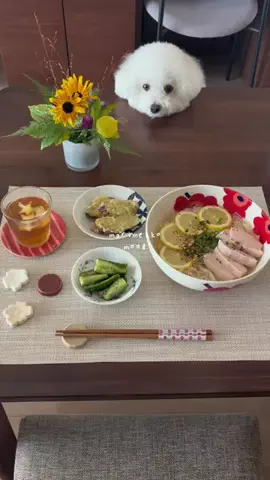 senのTikTok投稿