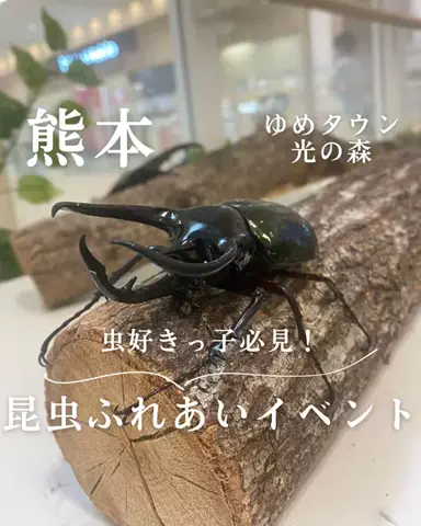 𝐫 𝐨 𝐧のTikTok投稿